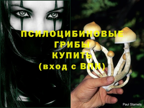 марки lsd Абинск