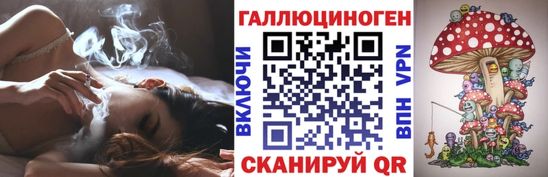 площадка формула Киселёвск Псилоцибиновые грибы Psilocybine cubensis